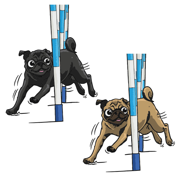 Weaving Pug