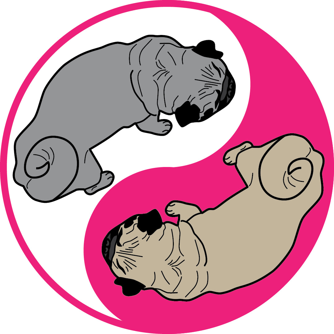 Yin Yang Pug